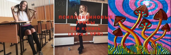 прущий лед Бронницы